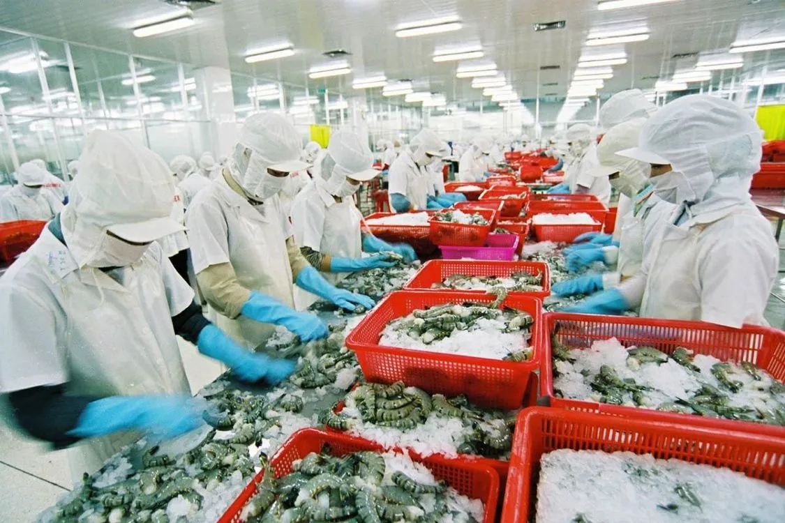 Triển khai biện pháp khắc phục khuyến cáo của Đoàn thanh tra EU về xuất khẩu thủy sản