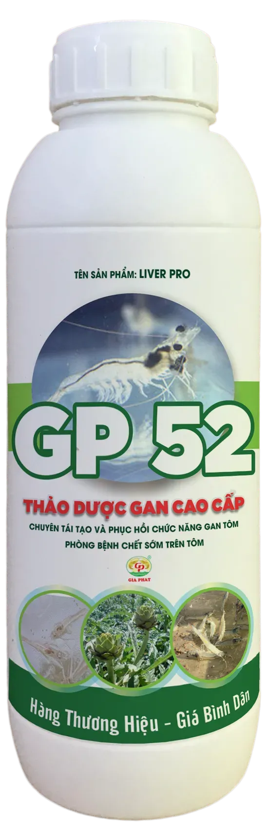 GP 52